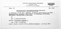Melampsorella elatina image